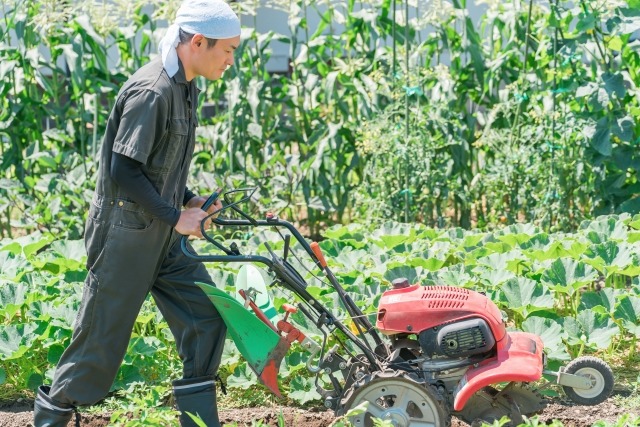 青森県の中小企業が活用すべきホームページ制作の補助金・助成金