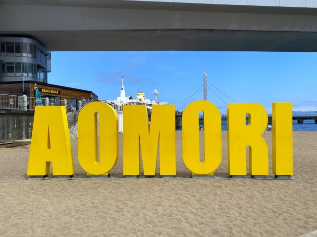 人口減少を逆手に取る！青森での地方起業・生存戦略